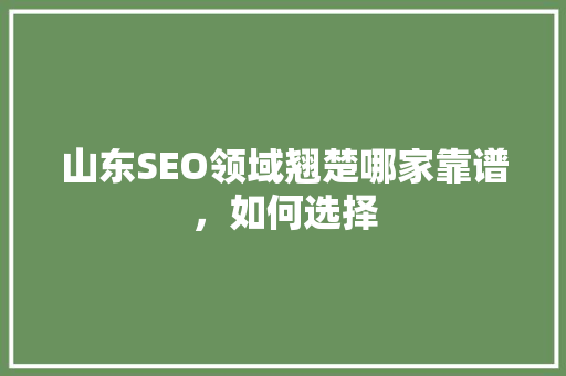 山东SEO领域翘楚哪家靠谱，如何选择