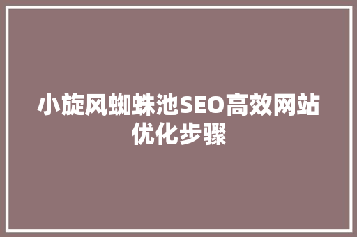 小旋风蜘蛛池SEO高效网站优化步骤