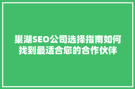 巢湖SEO公司选择指南如何找到最适合您的合作伙伴