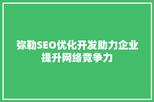 弥勒SEO优化开发助力企业提升网络竞争力