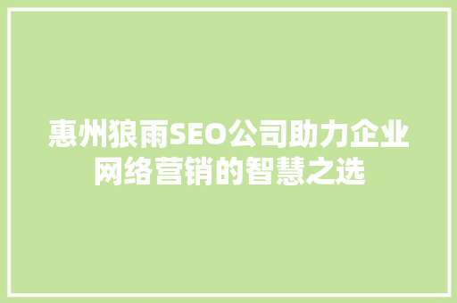 惠州狼雨SEO公司助力企业网络营销的智慧之选