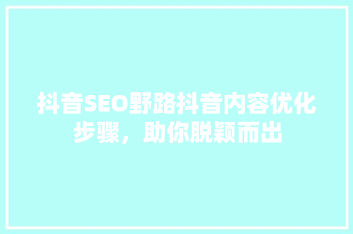 抖音SEO野路抖音内容优化步骤，助你脱颖而出