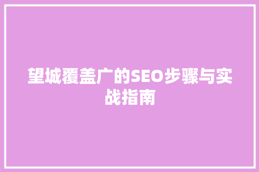 望城覆盖广的SEO步骤与实战指南