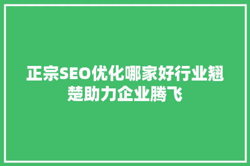 正宗SEO优化哪家好行业翘楚助力企业腾飞