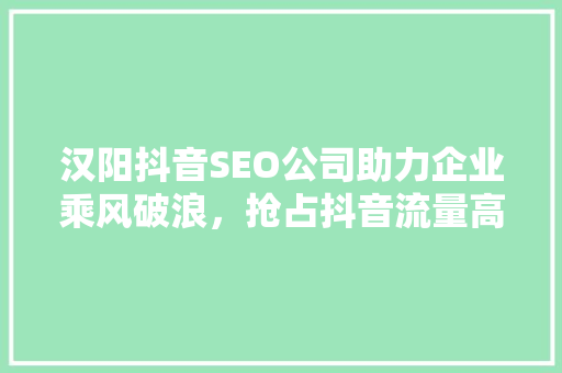 汉阳抖音SEO公司助力企业乘风破浪，抢占抖音流量高地