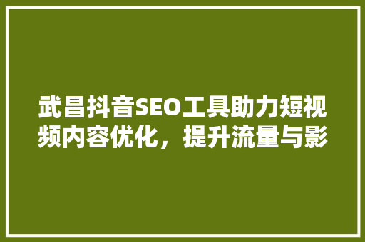 武昌抖音SEO工具助力短视频内容优化，提升流量与影响力
