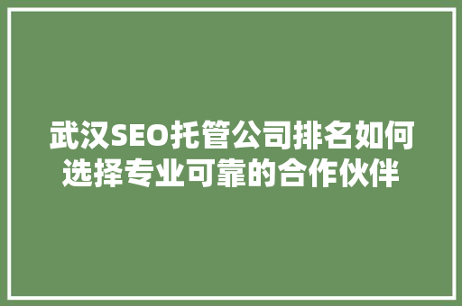 武汉SEO托管公司排名如何选择专业可靠的合作伙伴