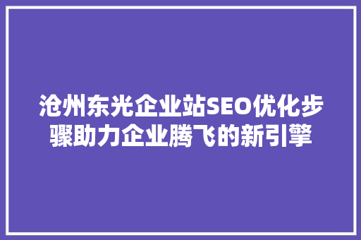 沧州东光企业站SEO优化步骤助力企业腾飞的新引擎