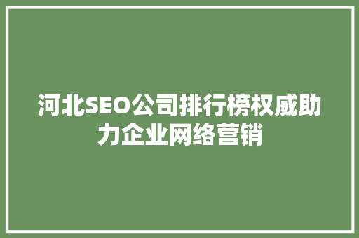 河北SEO公司排行榜权威助力企业网络营销