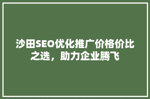 沙田SEO优化推广价格价比之选，助力企业腾飞