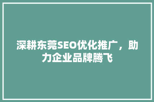 深耕东莞SEO优化推广，助力企业品牌腾飞