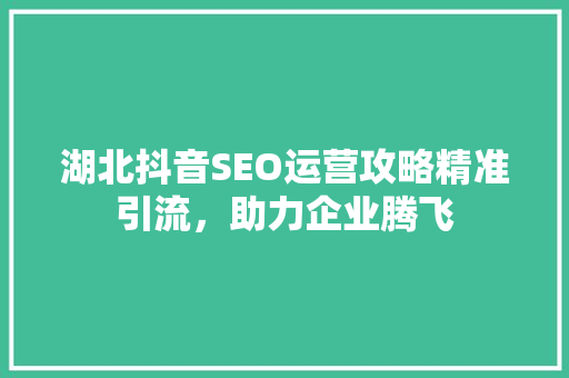 湖北抖音SEO运营攻略精准引流，助力企业腾飞