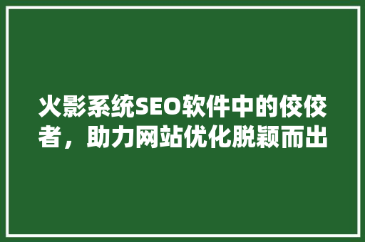 火影系统SEO软件中的佼佼者，助力网站优化脱颖而出