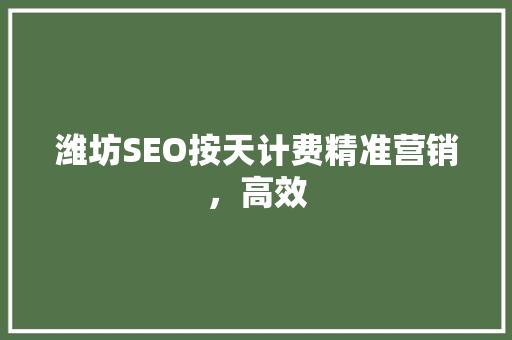 潍坊SEO按天计费精准营销，高效