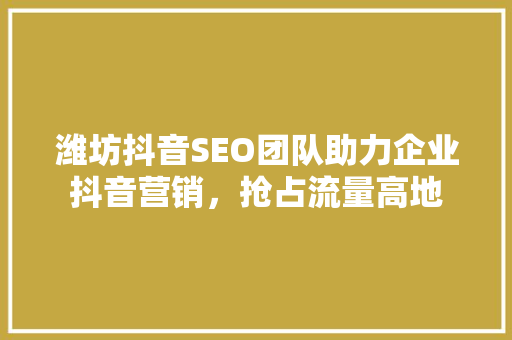 潍坊抖音SEO团队助力企业抖音营销，抢占流量高地
