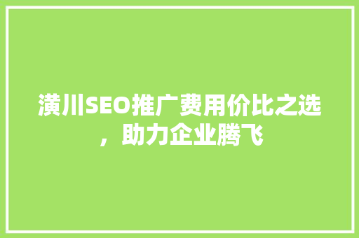 潢川SEO推广费用价比之选，助力企业腾飞