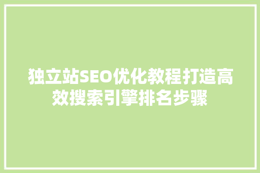 独立站SEO优化教程打造高效搜索引擎排名步骤