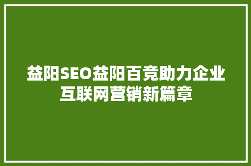 益阳SEO益阳百竞助力企业互联网营销新篇章