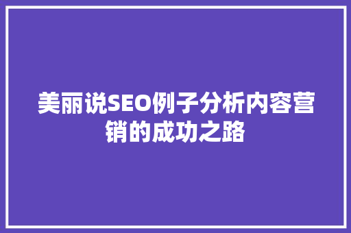 美丽说SEO例子分析内容营销的成功之路