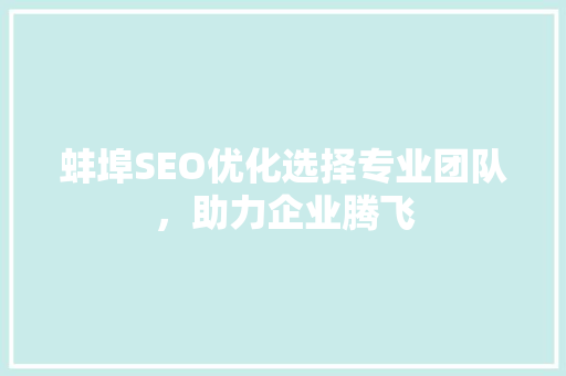 蚌埠SEO优化选择专业团队，助力企业腾飞
