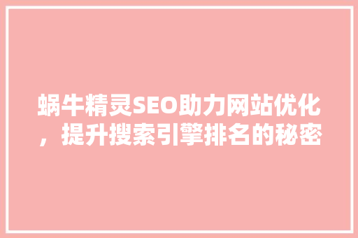 蜗牛精灵SEO助力网站优化，提升搜索引擎排名的秘密武器