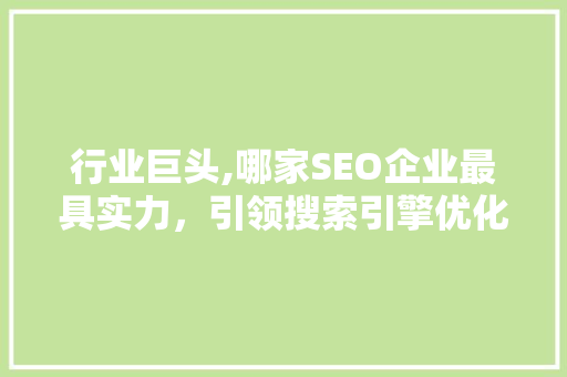 行业巨头,哪家SEO企业最具实力，引领搜索引擎优化新篇章