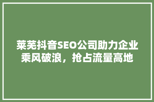 莱芜抖音SEO公司助力企业乘风破浪，抢占流量高地