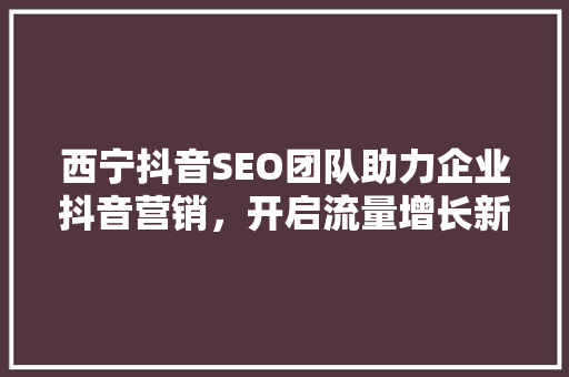 西宁抖音SEO团队助力企业抖音营销，开启流量增长新篇章