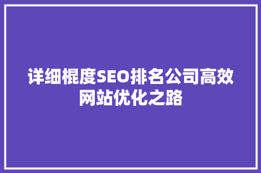 详细棍度SEO排名公司高效网站优化之路