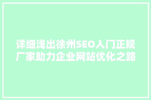 详细浅出徐州SEO入门正规厂家助力企业网站优化之路