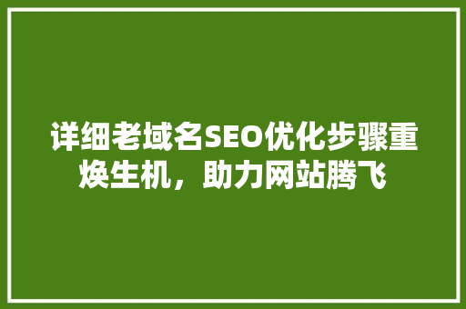 详细老域名SEO优化步骤重焕生机，助力网站腾飞