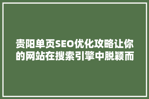 贵阳单页SEO优化攻略让你的网站在搜索引擎中脱颖而出
