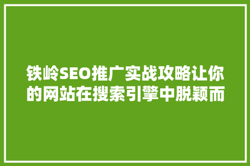 铁岭SEO推广实战攻略让你的网站在搜索引擎中脱颖而出