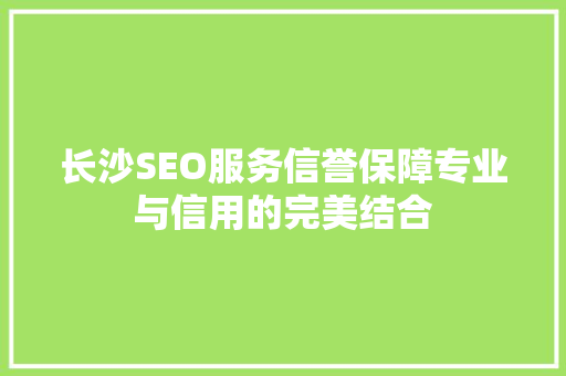 长沙SEO服务信誉保障专业与信用的完美结合