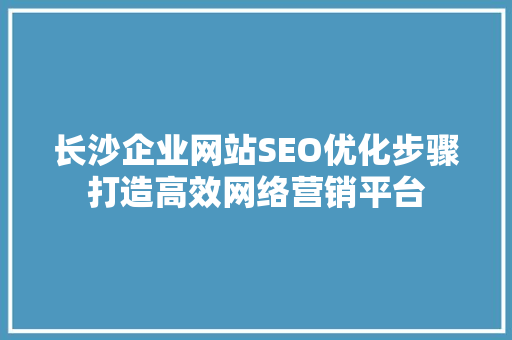长沙企业网站SEO优化步骤打造高效网络营销平台