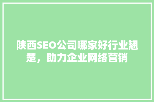 陕西SEO公司哪家好行业翘楚，助力企业网络营销