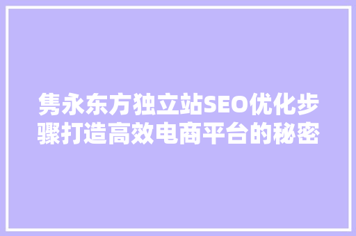 隽永东方独立站SEO优化步骤打造高效电商平台的秘密武器
