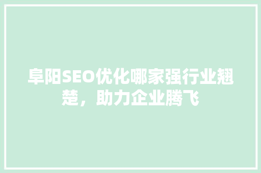 阜阳SEO优化哪家强行业翘楚，助力企业腾飞