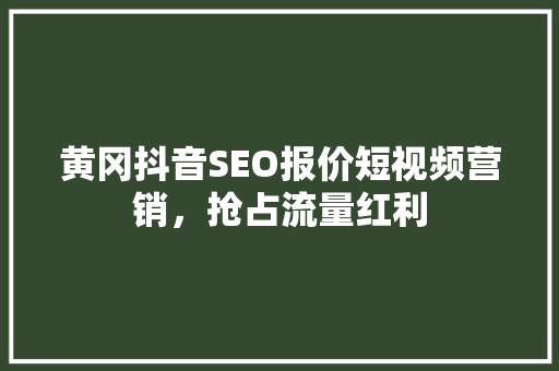 黄冈抖音SEO报价短视频营销，抢占流量红利