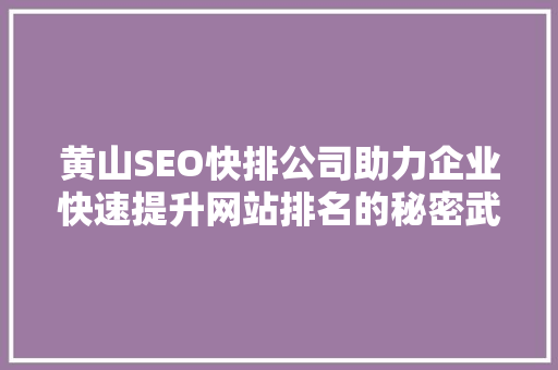 黄山SEO快排公司助力企业快速提升网站排名的秘密武器