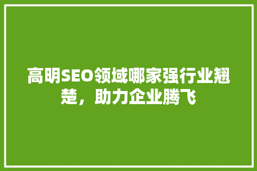 高明SEO领域哪家强行业翘楚，助力企业腾飞