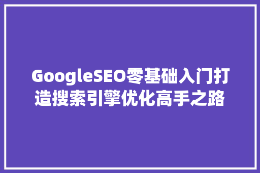 GoogleSEO零基础入门打造搜索引擎优化高手之路