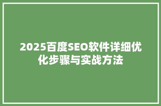 2025百度SEO软件详细优化步骤与实战方法