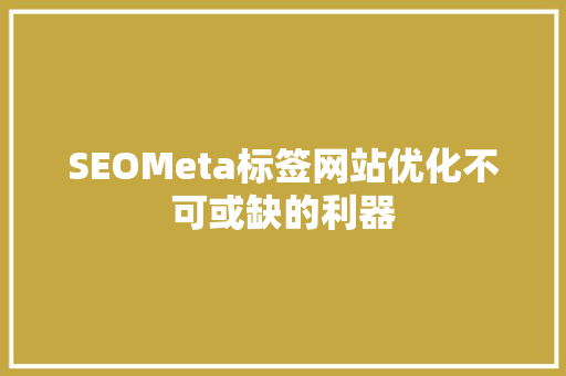 SEOMeta标签网站优化不可或缺的利器