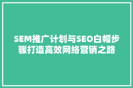 SEM推广计划与SEO白帽步骤打造高效网络营销之路