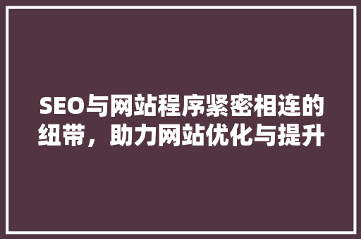 SEO与网站程序紧密相连的纽带，助力网站优化与提升