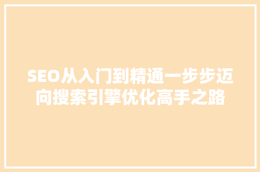 SEO从入门到精通一步步迈向搜索引擎优化高手之路