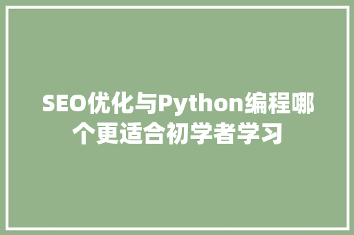 SEO优化与Python编程哪个更适合初学者学习