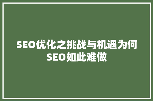 SEO优化之挑战与机遇为何SEO如此难做