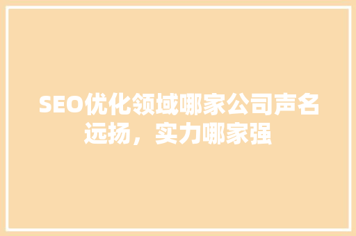 SEO优化领域哪家公司声名远扬，实力哪家强